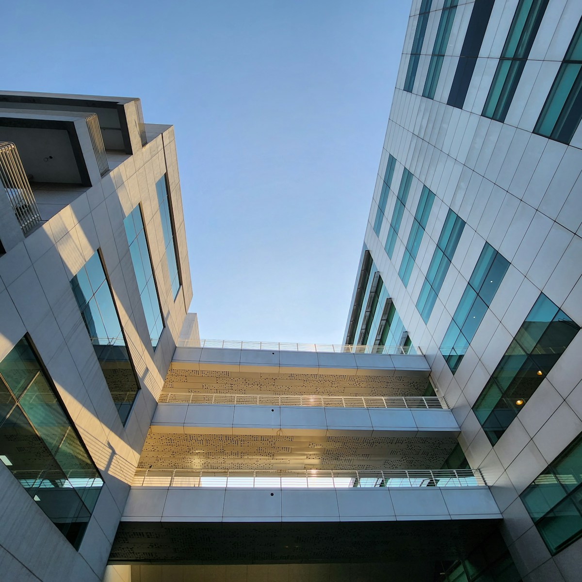 Penjelasan Lengkap Perbedaan PT PMA dan KPPA