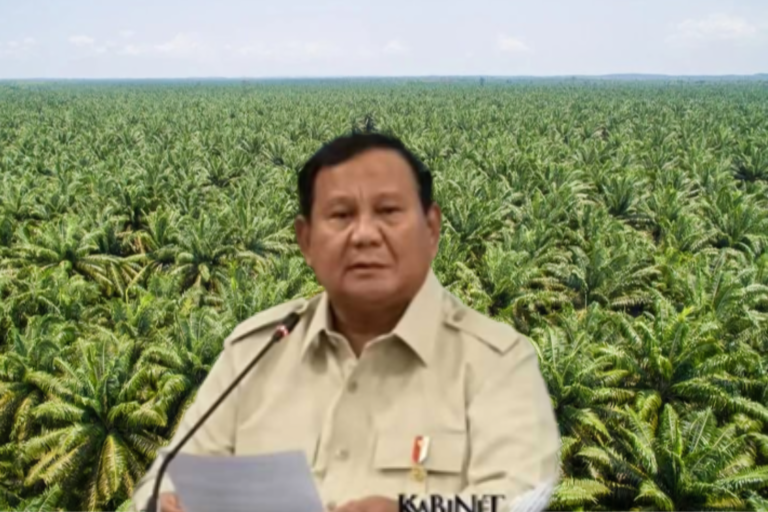 Prabowo Dorong Sawit di Papua, Perhatian Lingkungan Jadi Sorotan
